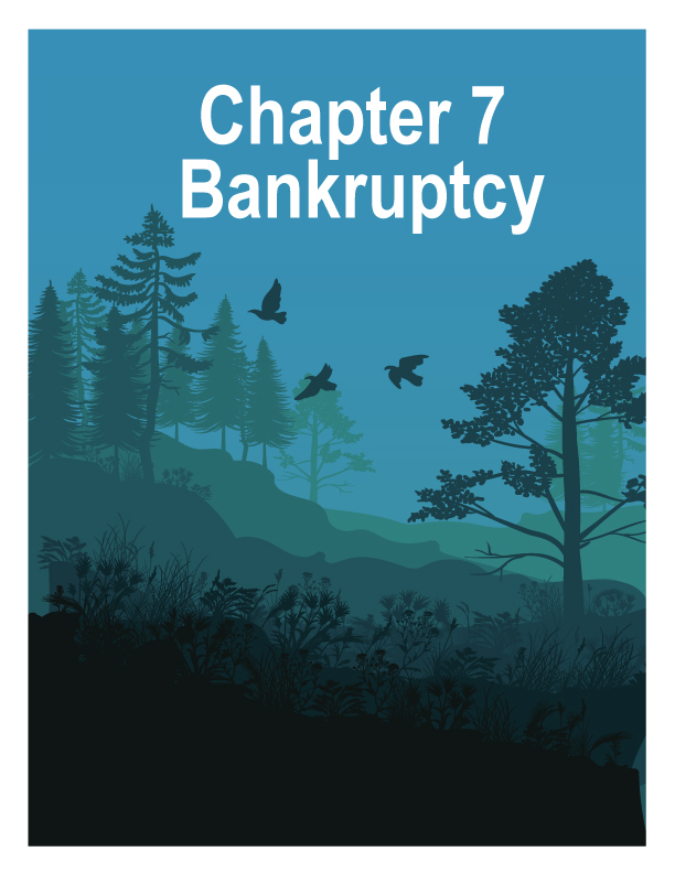 Book Cover (3)