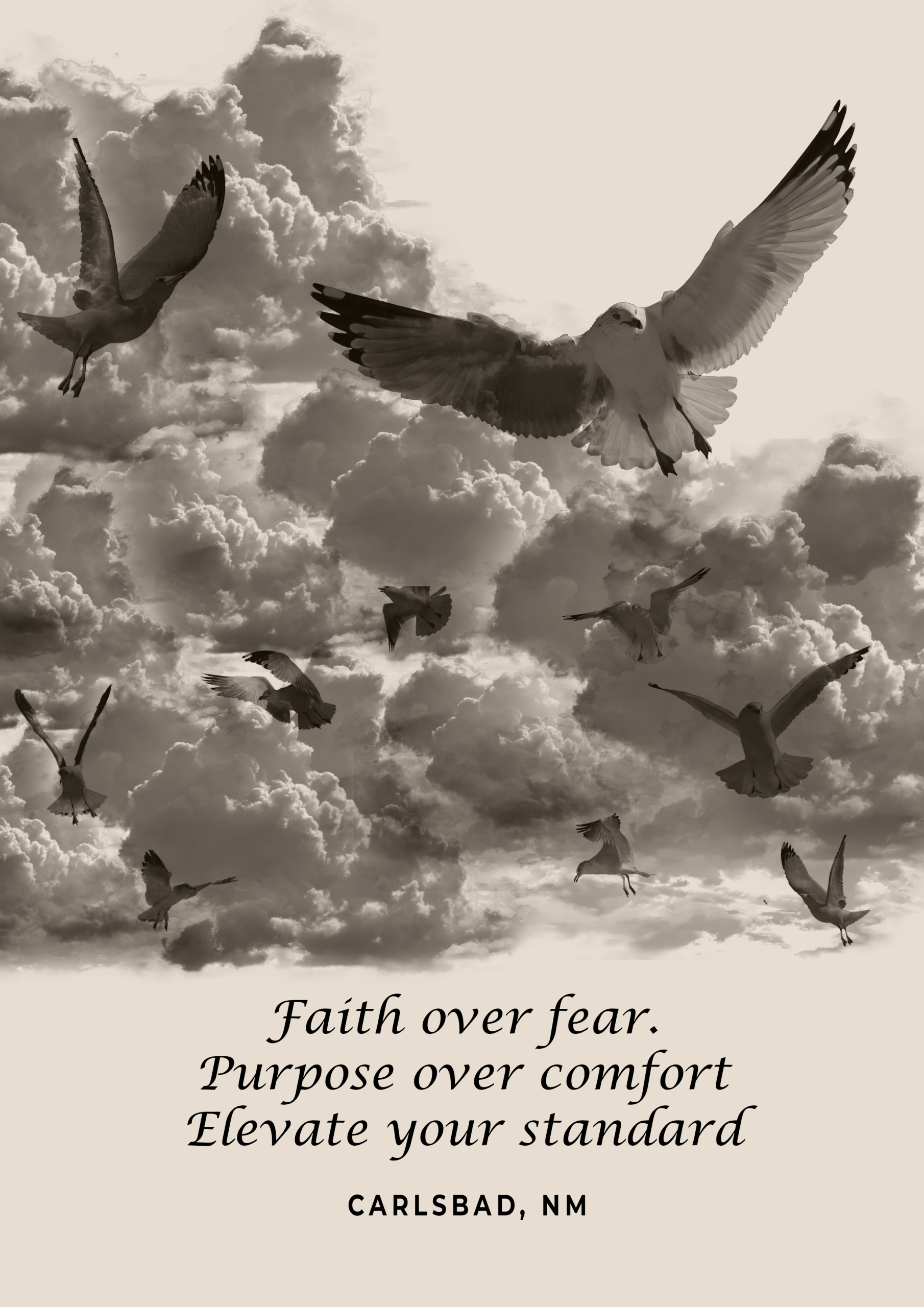 Book Cover (5)