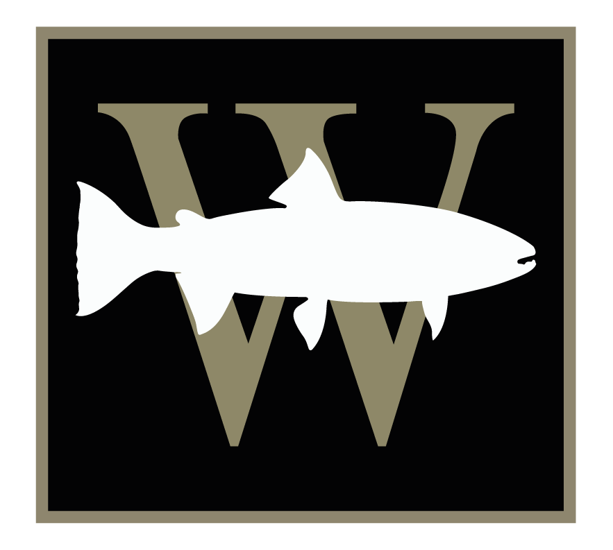 Icon Design (9)