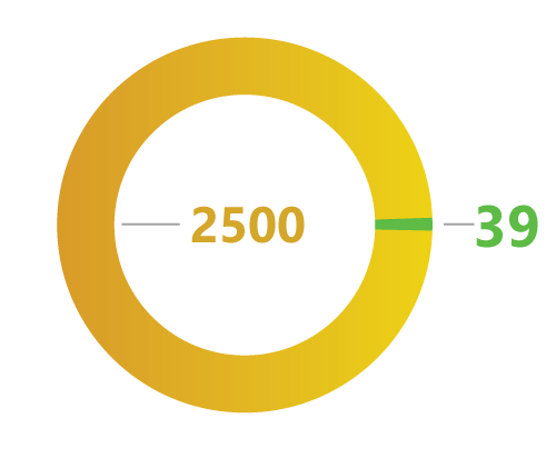Infographic Design (5)
