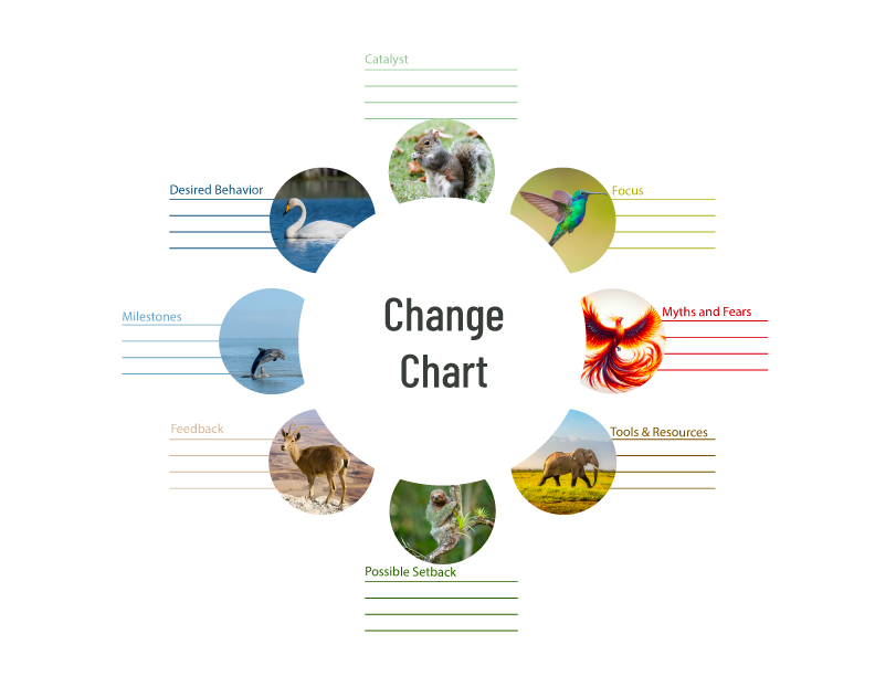 Infographic Design (6)